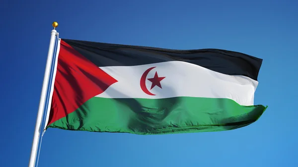 Bandera de la República Árabe Saharaui Democrática, aislada con transparencia del canal alfa de la ruta de recorte —  Fotos de Stock