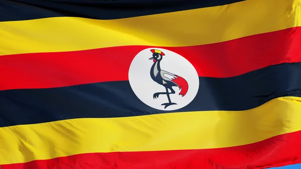 Bandeira de Uganda, isolada com transparência de canal alfa de caminho de recorte — Fotografia de Stock