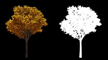 Alfa ile izole Rüzgar sonbahar sarı ağaçlar üzerinde üfleme