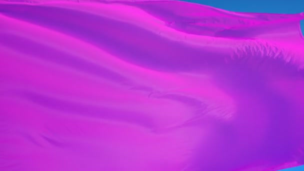 슬로우 모션의 밝은 분홍색 깃발이 알파로 매끄럽게 반복됩니다. — 비디오
