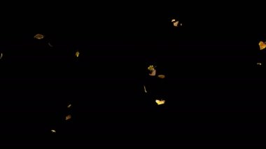 Yavaş, closeup yukarıdan düşen sonbahar sarı yapraklar