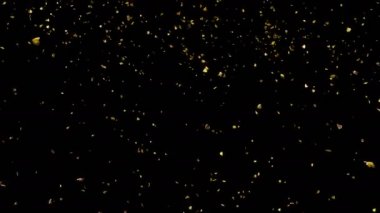 Düşen sonbahar sarı yapraklar soldan sağa doğru yavaş hareket