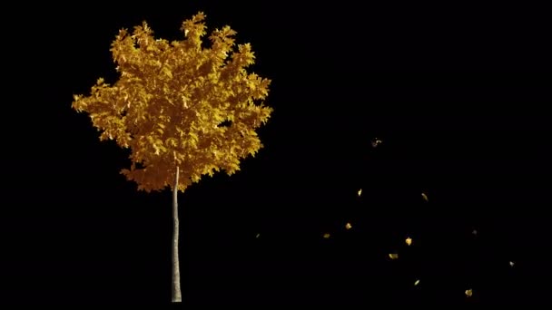Foukání na podzimní vítr žlutá strom izolované alfa