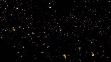 Düşen ilmekledi sonbahar sarı yapraklar soldan sağa doğru gerçek zamanlı olarak