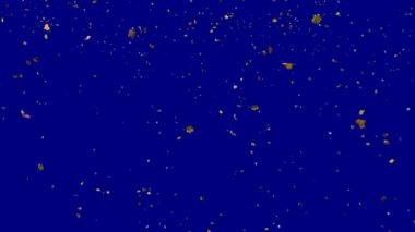 Düşen sonbahar sarı yapraklar soldan sağa doğru yavaş hareket