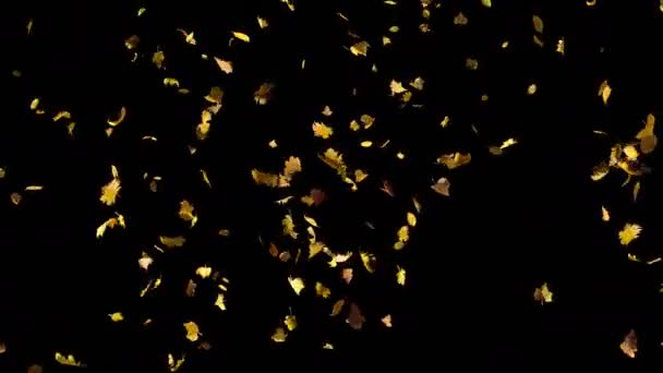 Feuilles jaunes d'automne tombant en boucle par le haut au ralenti, gros plan 