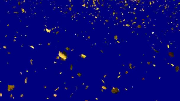 Feuilles jaune automne tombant en boucle par le haut au ralenti 