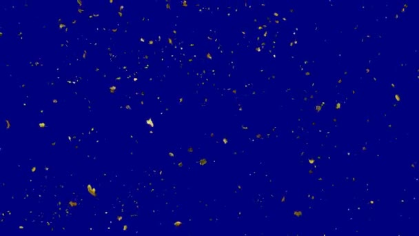 Feuilles jaune automne tombant en boucle de gauche à droite au ralenti 