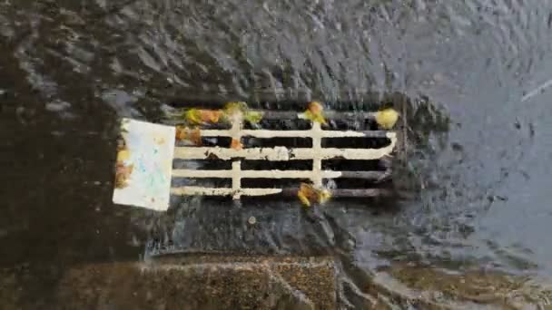 Regnvatten som faller i avlopp — Stockvideo