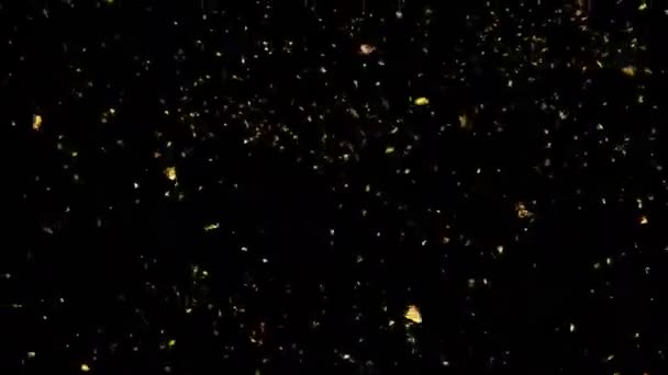 Feuilles jaune automne tombantes de gauche à droite en temps réel 