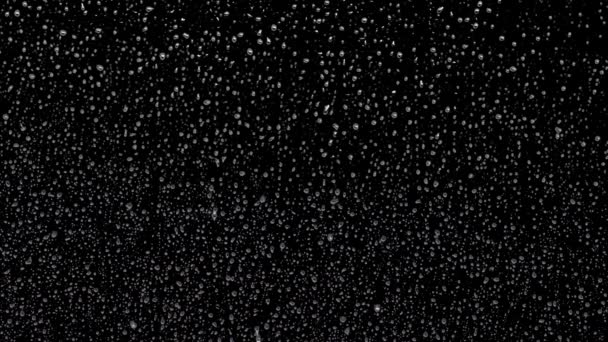 Капли Дождя Окне Покрывают Всю Поверхность Скатываются Один Другим Черном — стоковое видео