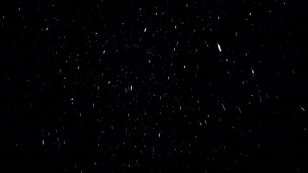 小さな雪片が左から右へと空から静かに降ってきて 風のために道を変えます 黒い背景に隔離された美しい雪は シームレスにループしました — ストック動画