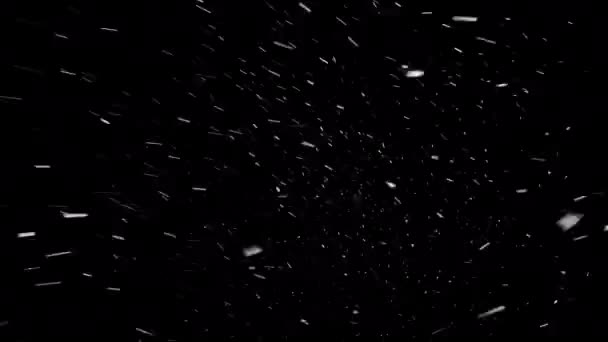 厚厚的积雪从天空中飘落在黑色的背景上 无缝地环绕着 大雪纷飞 直接从上到下 然后被大风刮得从右到左 — 图库视频影像