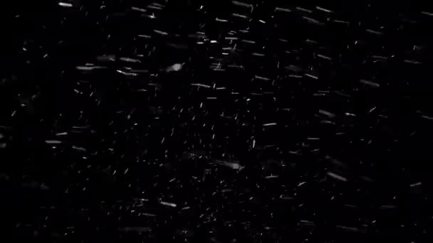 黒の背景に隔離された大雪は シームレスにループしました 中規模の雪片は強い風の突風によってさまざまな方向に吹き飛ばされます — ストック動画
