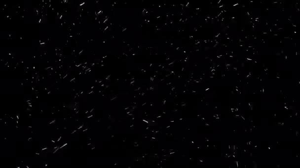 Τρελή Χιονόπτωση Απομονωμένη Στο Μαύρο Φόντο Χωρίς Ραφή Μεγάλες Νιφάδες — Αρχείο Βίντεο