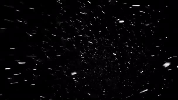 厚厚的积雪从天空中飘落在黑色的背景上 无缝地环绕着 大雪纷飞 直接从上到下 然后被大风刮得从右到左 — 图库视频影像