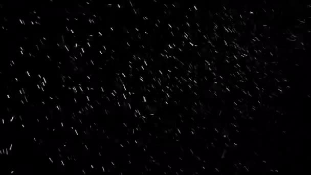 黑色背景上的大雪 无缝地环绕着 强风迫使大雪以不同方向高速落下 — 图库视频影像
