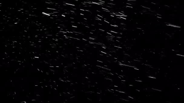美丽的大气暴风雪与小雪花冲向不同的方向 并且由于风不断地改变着他们的方向 无缝地圈圈 隔离在黑色的背景上 — 图库视频影像