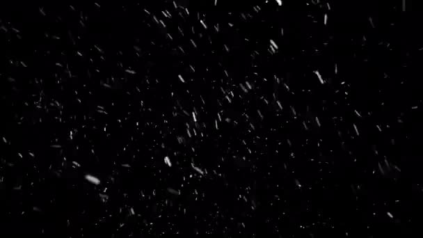 雪花从天而降 营造出特别的冬季氛围 大小不等的雪花随风而去 无缝地圈圈 隔离在黑色的背景上 — 图库视频影像