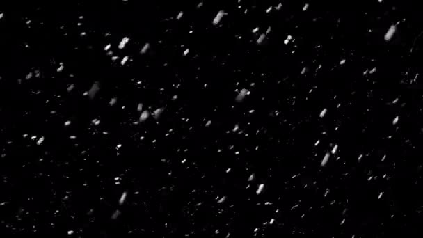 Vista Vicino Una Forte Nevicata Isolata Sullo Sfondo Nero Perfettamente — Video Stock