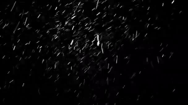 黒の背景に隔離された大雪は シームレスにループしました 複数の方向に空から降る大きな雪の結晶は 風のために彼らの方法を変更する — ストック動画