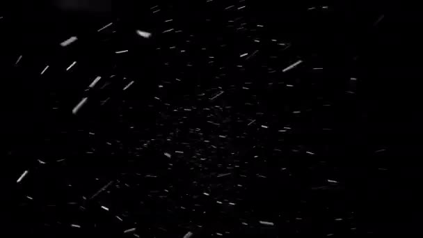 黒を背景に空から降ってくる大雪は シームレスに見えた 大きな雪片はさまざまな方向に強い風に吹かれています — ストック動画