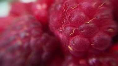 Taze ahududu ultra closeup büyük alan derinliği ile vuruldu