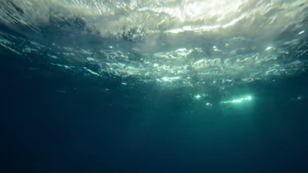 Beautiful underwater sea view with natural light rays in slow motion — Stock Video