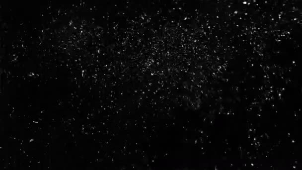 Weiße Staubpartikel fliegen auf schwarzem Unterwasserhintergrund — Stockvideo