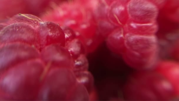 Fresh raspberries shot in ultra closeup — Stock Video
