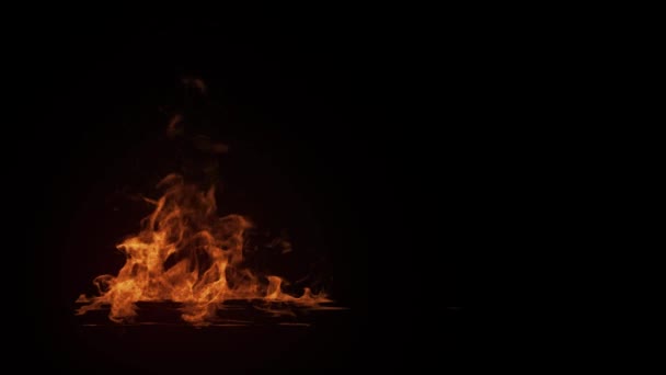 Holzbalken von links nach rechts verbrennen — Stockvideo