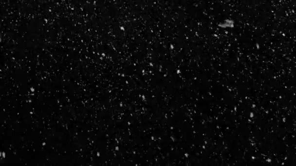 Падіння сніжинок при повільному русі зліва направо — стокове відео