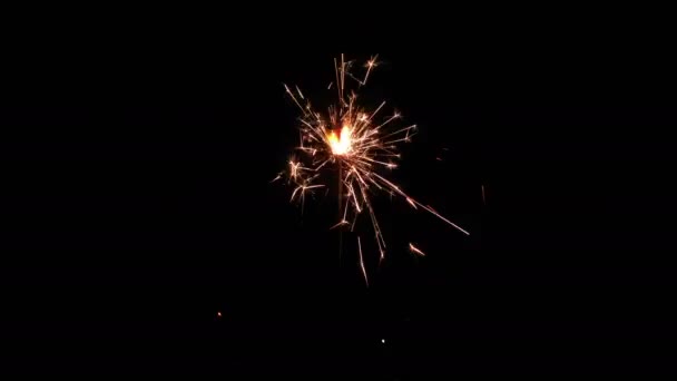 Sparkler burning isolated from start to end on black background. — Stockvideo