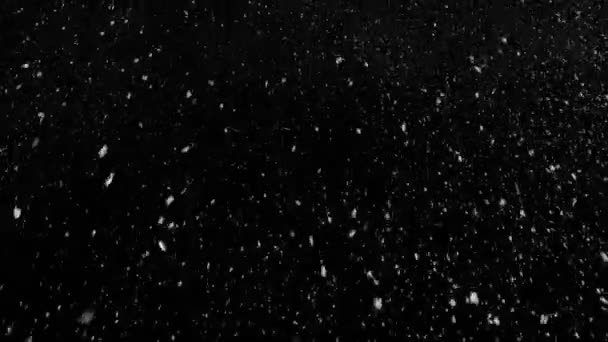 Chute de flocons de neige naturels réalistes de haut en bas avec début et fin 