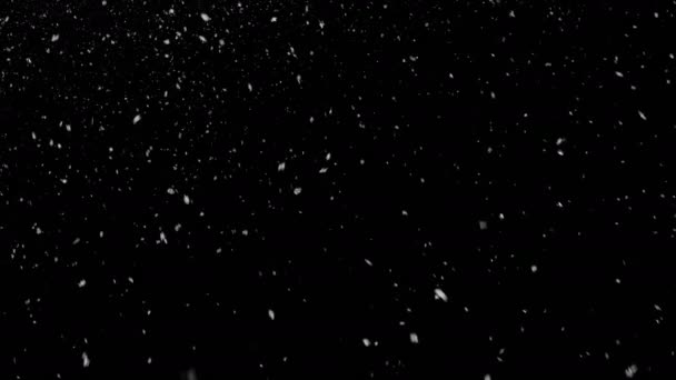 Chute au ralenti de véritables flocons de neige de gauche à droite avec début et fin 