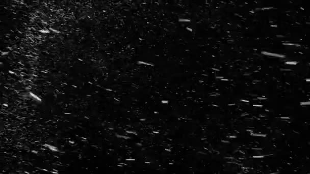 Падіння справжніх сніжинок зліва направо з початку і кінця — стокове відео