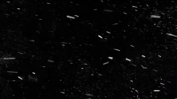 Echte Schneeflocken fallen von links nach rechts mit Anfang und Ende — Stockvideo