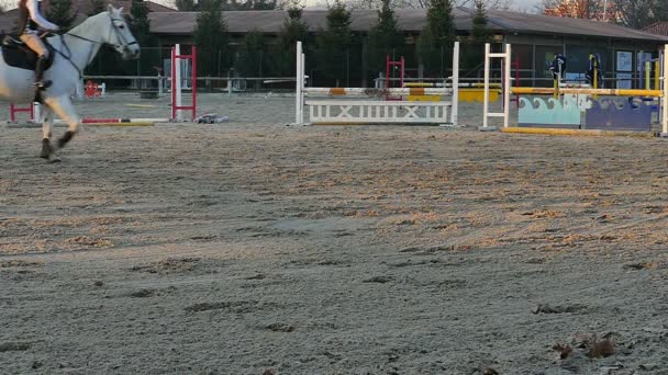 Pferd im leichten Trab reitet durch das Vieleck — Stockvideo