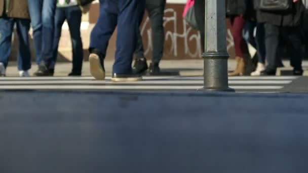 Multidão de pessoas na rua, cruzando estrada — Vídeo de Stock