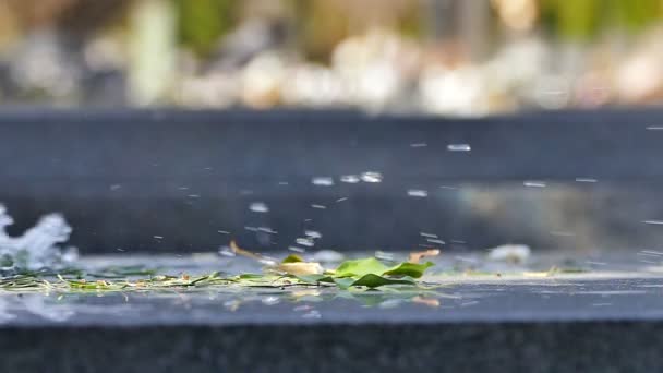 슬로우 모션에 물으로 씻어 서 대리석 석판에 잎 — 비디오