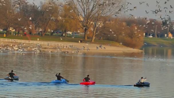 Remadores en kayaks remando lago — Vídeos de Stock