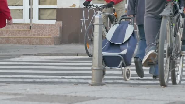 Overschrijding van de langzame oversteekplaats voetgangers — Stockvideo