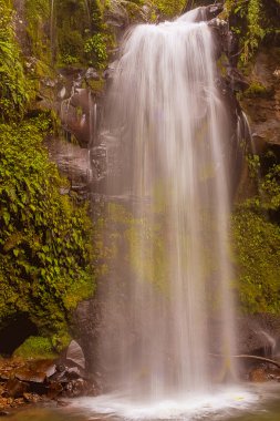 Kayıp şelale iz Boquete Panama yakınındaki. Fasll sayı tw