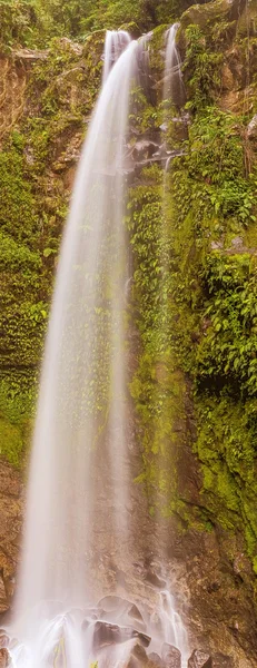 Den förlorade vattenfall trail nära Boquete i Panama. Hösten nummer ett — Stockfoto