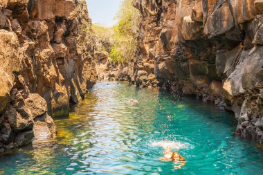  Las Grietas Santa Cruz Adası Galapagos '