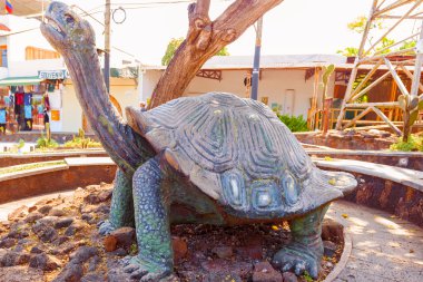 Puerto Ayora g Santa Cruz adasında dev kaplumbağa heykelinin
