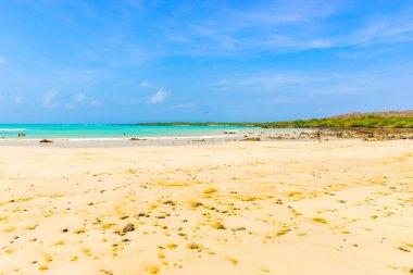 El Garrapatero beach Santa Cruz Adası Galapagos '.