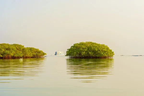 LAgoon na Ilha de Santa Cruz em Galápagos — Fotografia de Stock