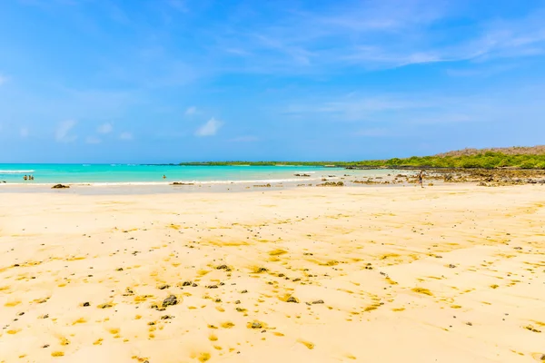 El Garrapatero-stranden på ön Santa Cruz i Galapagos. — Stockfoto