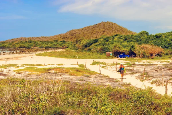 Spiaggia di El Garrapatero sull'isola di Santa Cruz nelle Galapagos . — Foto Stock
